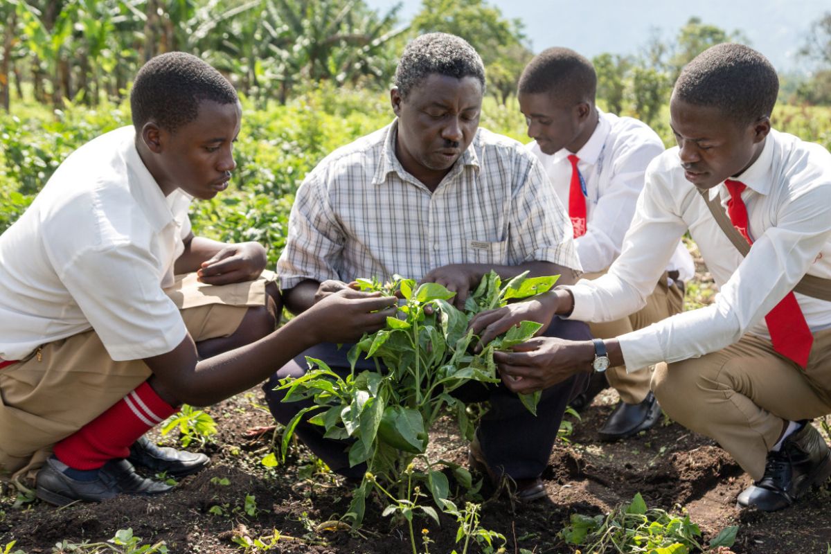 Young people practising modern agricultural techniques at a vocational training centre in Uganda.
