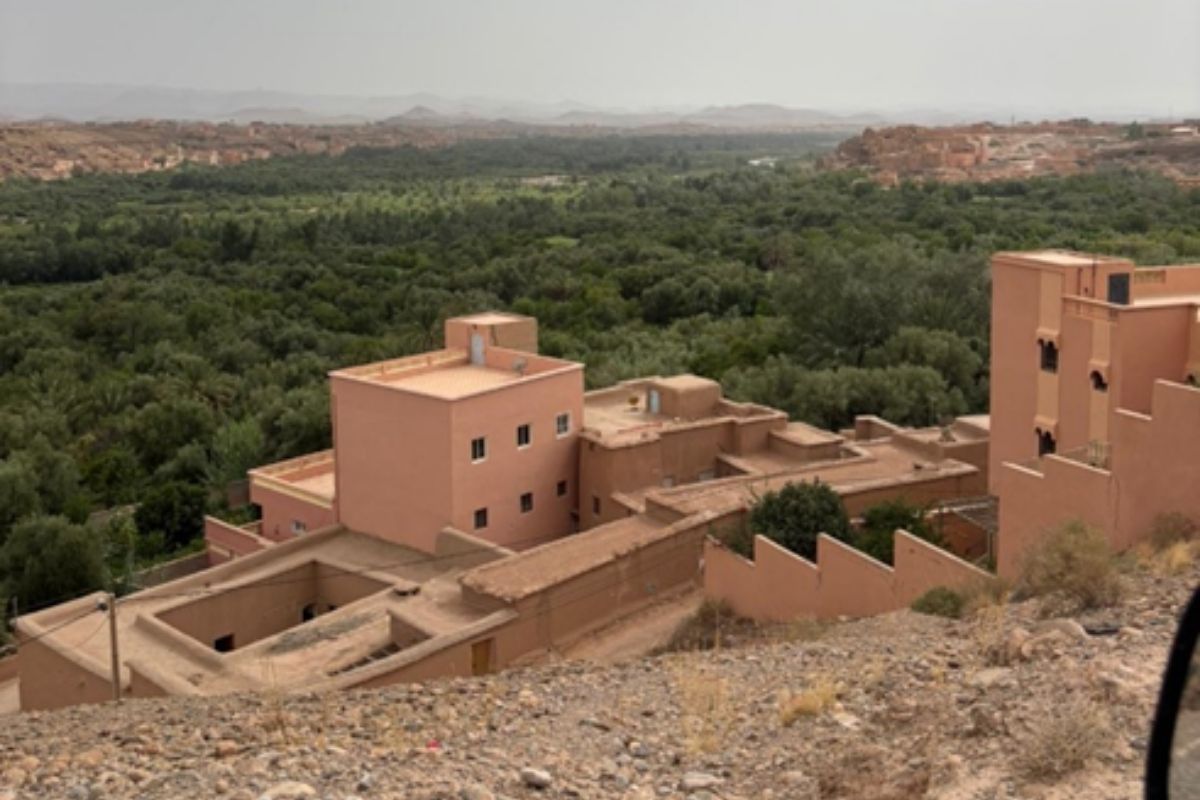 Educational Foundation in the Age of AI