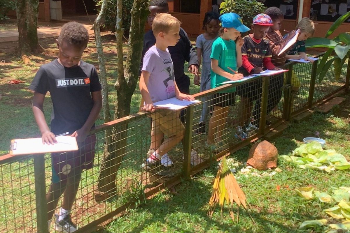 Young learners participating in interactive lessons under PYP framework