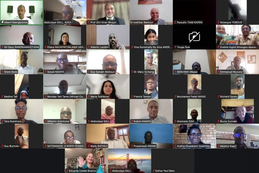 African education leaders and industry experts participating in ADEA webinar on curriculum reform and partnerships