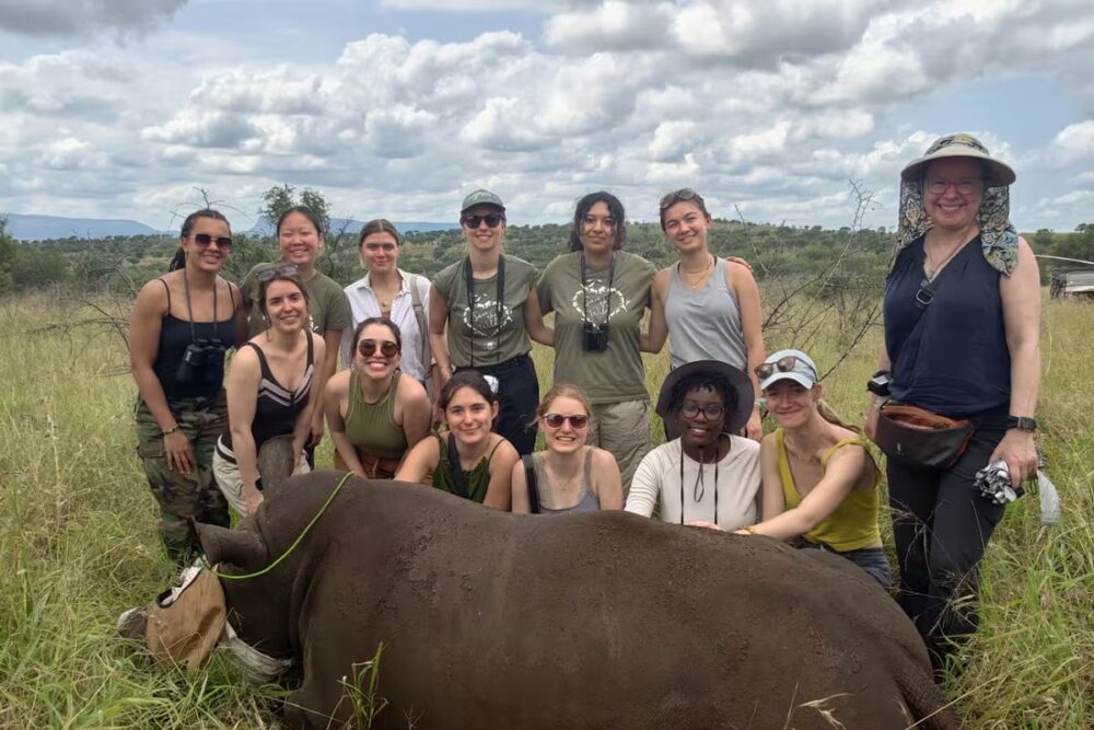 Students conducting conservation fieldwork in South Africa as part of ecosystem restoration and community-based learning programme