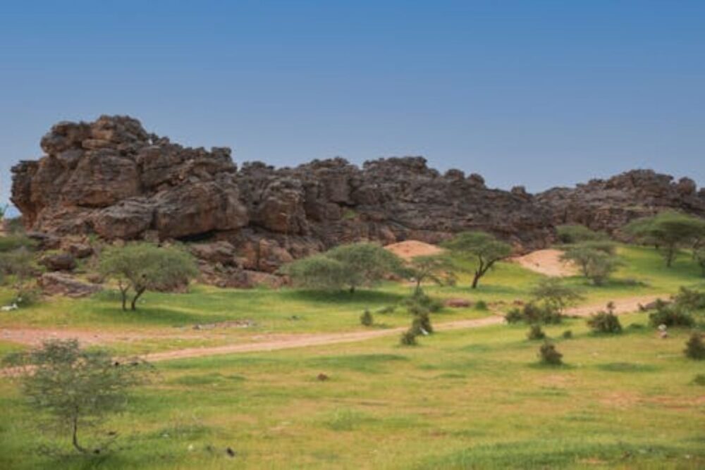 Mauritania, Unesco to Expand Cooperation in Higher Education