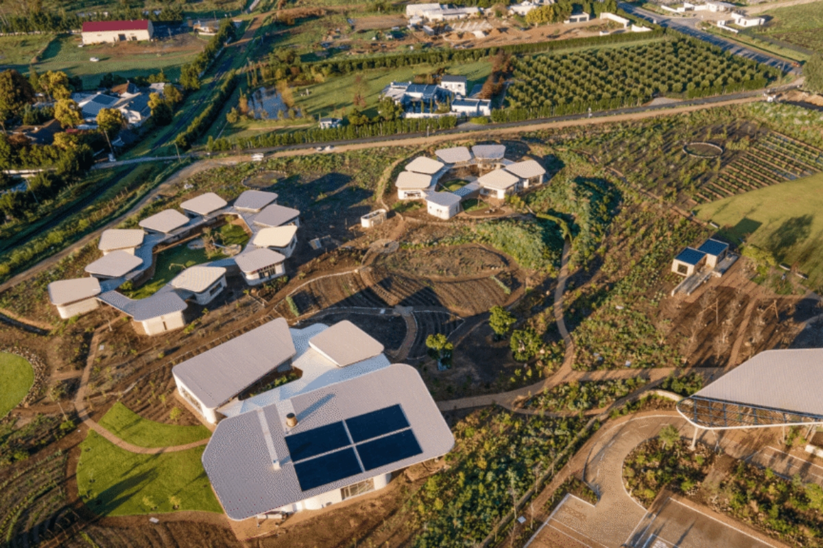 Green School South Africa connects students with the land, biodiversity and local ecosystems