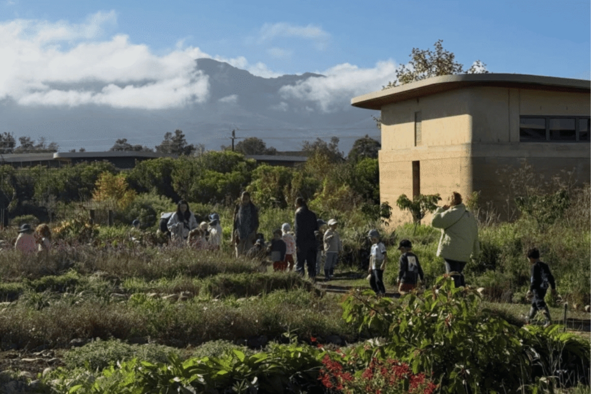 A learning environment where nature, creativity and academics come together